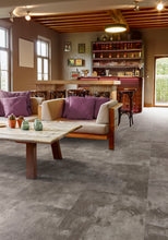 Load image into Gallery viewer, PRO PLUS