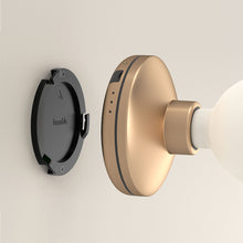 Load image into Gallery viewer, Humble Bee Wall light, gold smoked