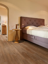 Load image into Gallery viewer, PRO PLUS