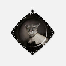 Load image into Gallery viewer, IBRIDE Urbin Tray